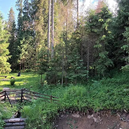 Riverhut - Sauna & Jacuzzi * Ciche Male